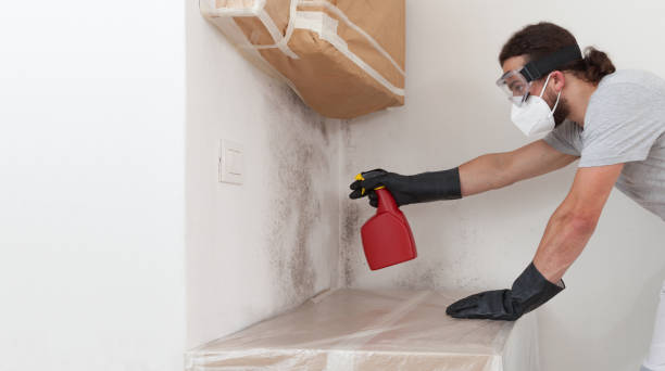 Professional Black Mold Remediation technician working in Nashville, NC
