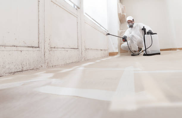 24/7 Emergency Black Mold Remediation experts in Nashville, NC