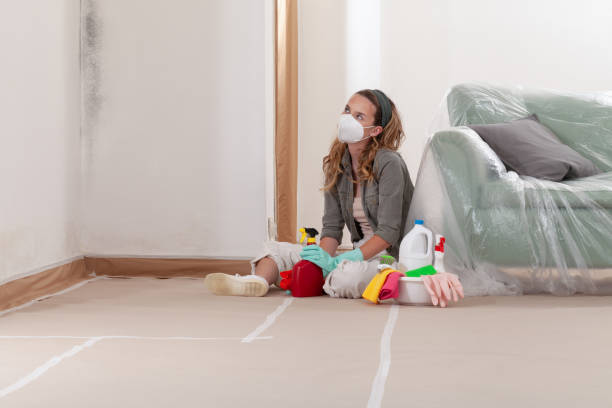Reliable Black Mold Remediation contractor in Nashville, NC by 24 Hour Mold Removal